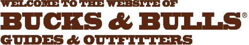 Welcome to the website of Bucks & Bulls Guides & Outfitters